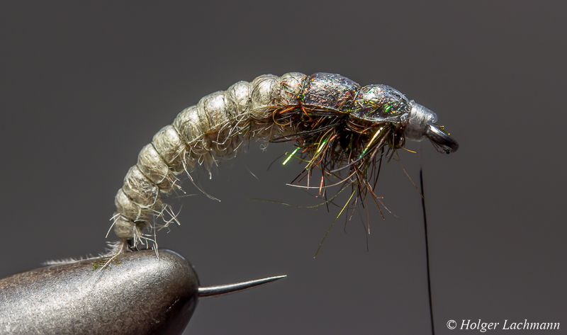 Berg's Caddis Larvae - Fly tying instructions - Flymen Fishing Company