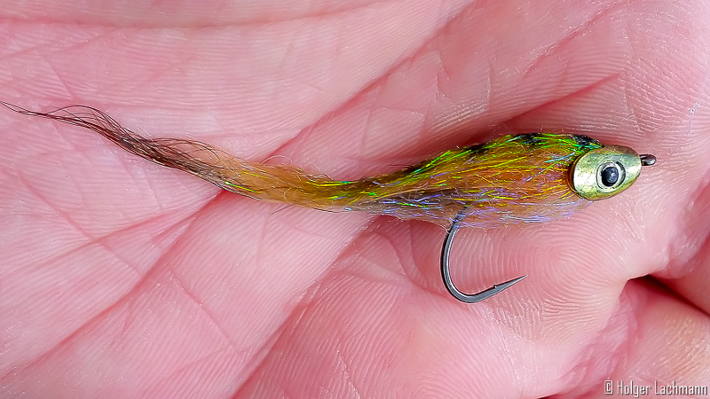 Fly Fishing's New Fly: A Creative Twist on a Natural Pattern