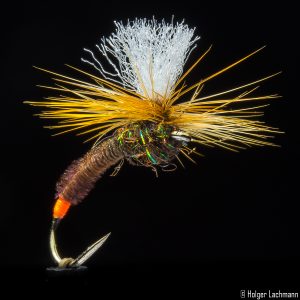 Dry Flies | The One Fly